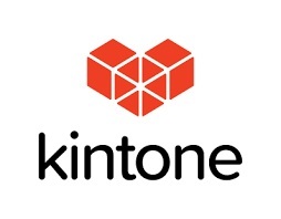 Developer_logo