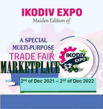 Ikodiv_icon_2
